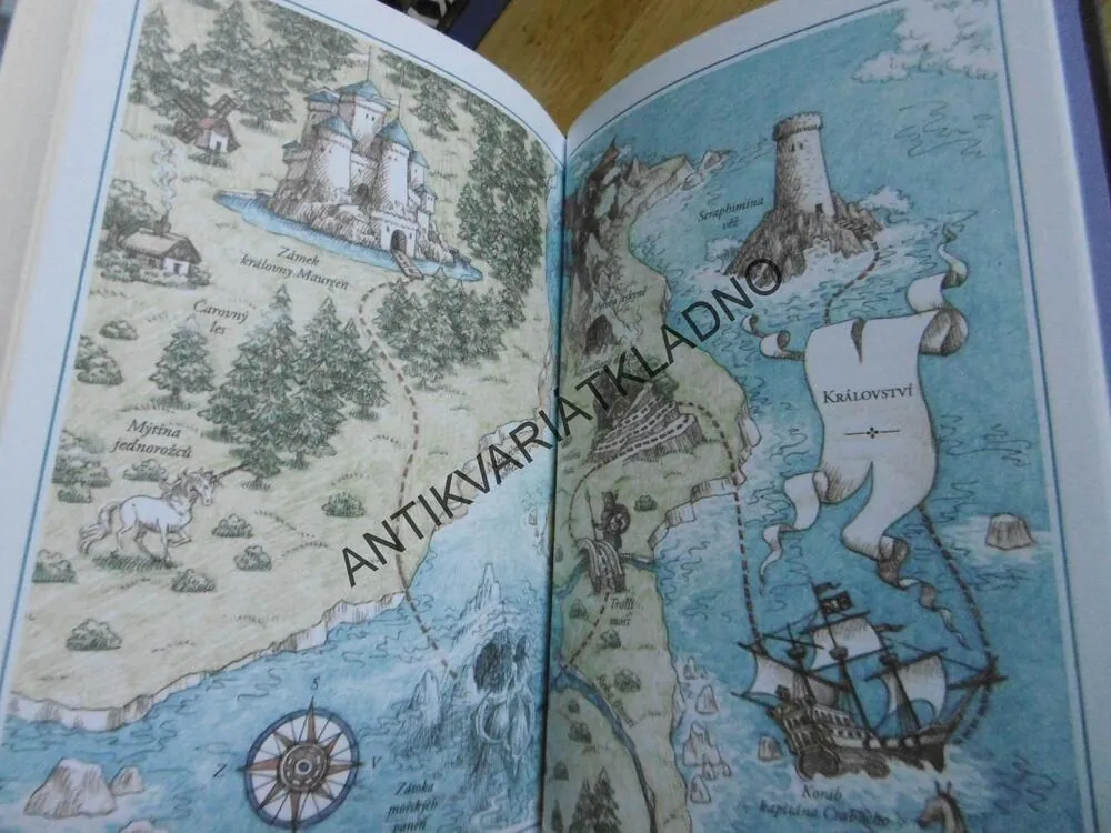 LÁSKA MEZI PÍSMENKY, JODI PICOULTOVÁ A SAMANTHA VAN LEEROVÁ, **an