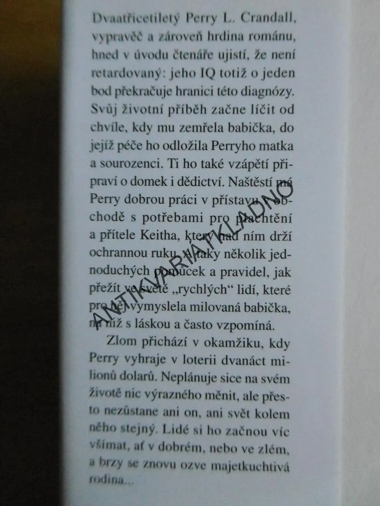 VÝHRA, PATRICIA WOOD, **an