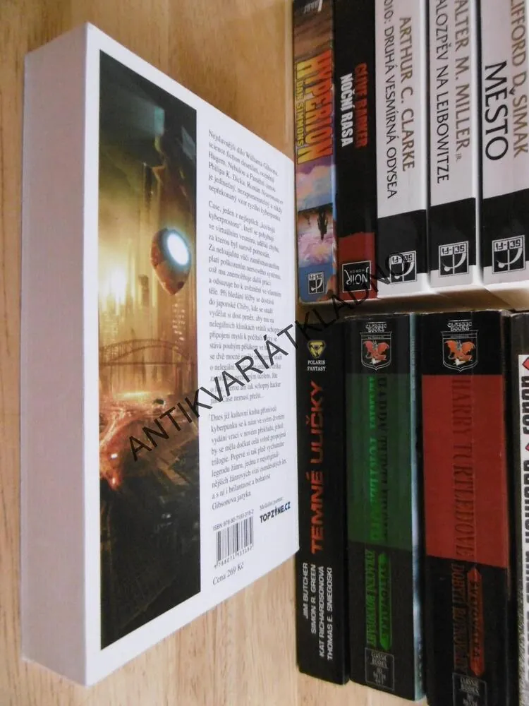 NEUROMANCER,WILLIAM GIBSON, **an