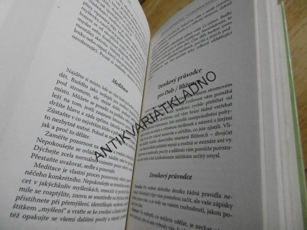 KELTSKÁ ASTROLOGIE, PHYLLIS VEGA, **an