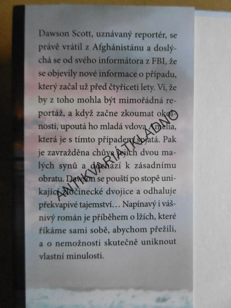REPORTÉR, SANDRA BROWN, **an