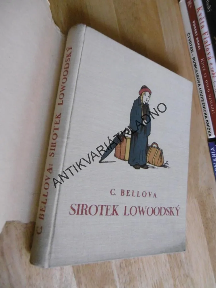 SIROTEK LOWOODSKÝ, SALAČ,CHARLOTTA BRONTEOVÁ,