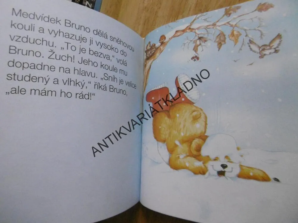 UŽ UMÍM ČÍST, 6-7 LET,**an