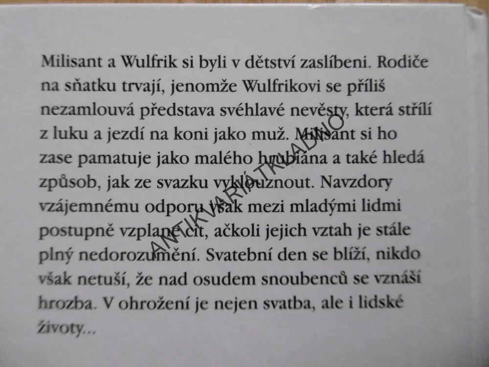 TRIUMF LÁSKY, JOHANNA LINDSEYOVÁ, LINDSEY, **an