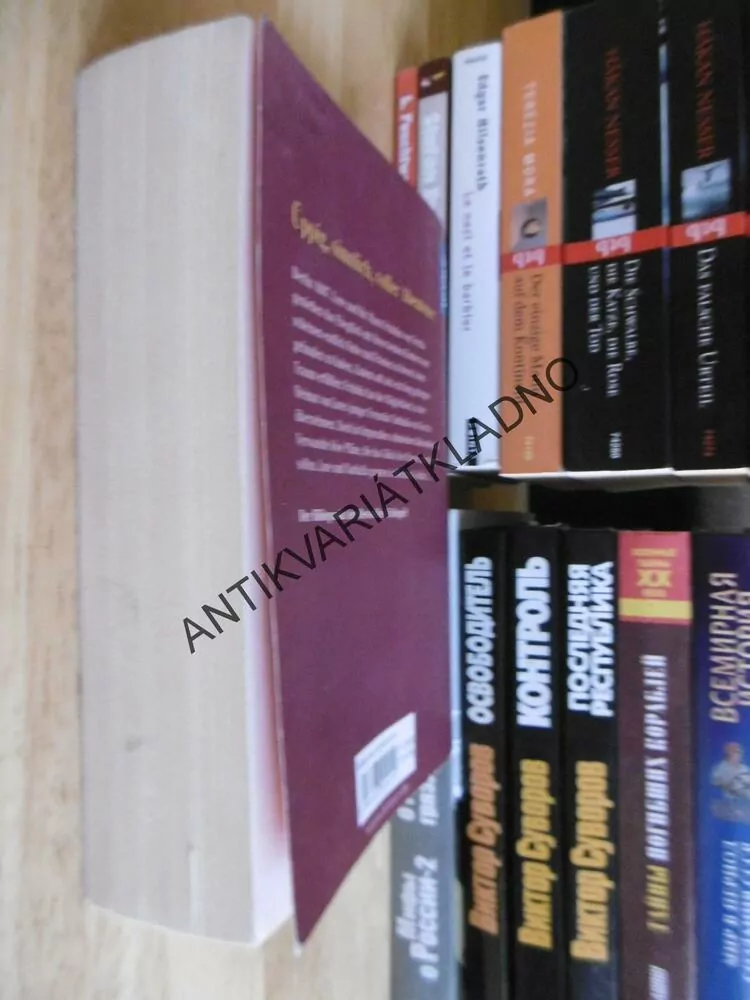 JULI REGEN, INY LORENTZ, NĚMECKY