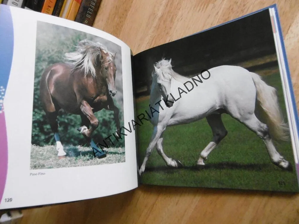 KONĚ NAŠEHO SVĚTA, CYNTHIA MCFARLAND, PONY CLUB, **an