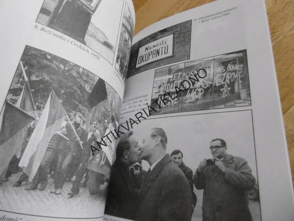 NORMALIZACE, TO JE ONO! BOŘIVOJ NEBOJSA, **an