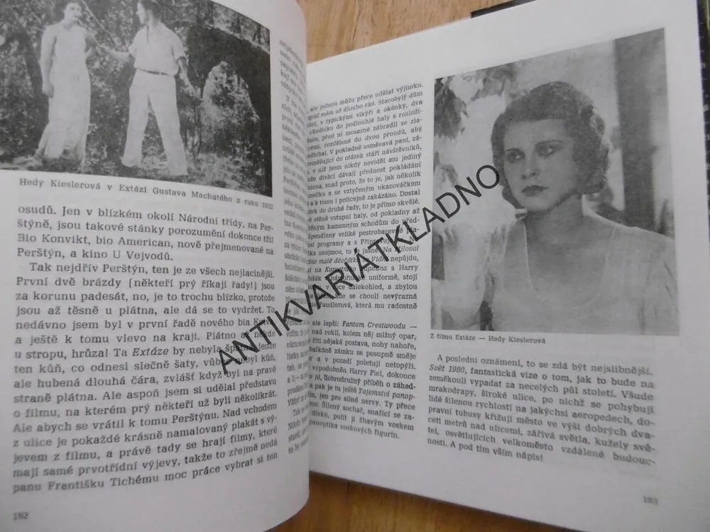 TO JE MI PĚKNÁ HISTORIE, MYRTIL FRÍDA**an