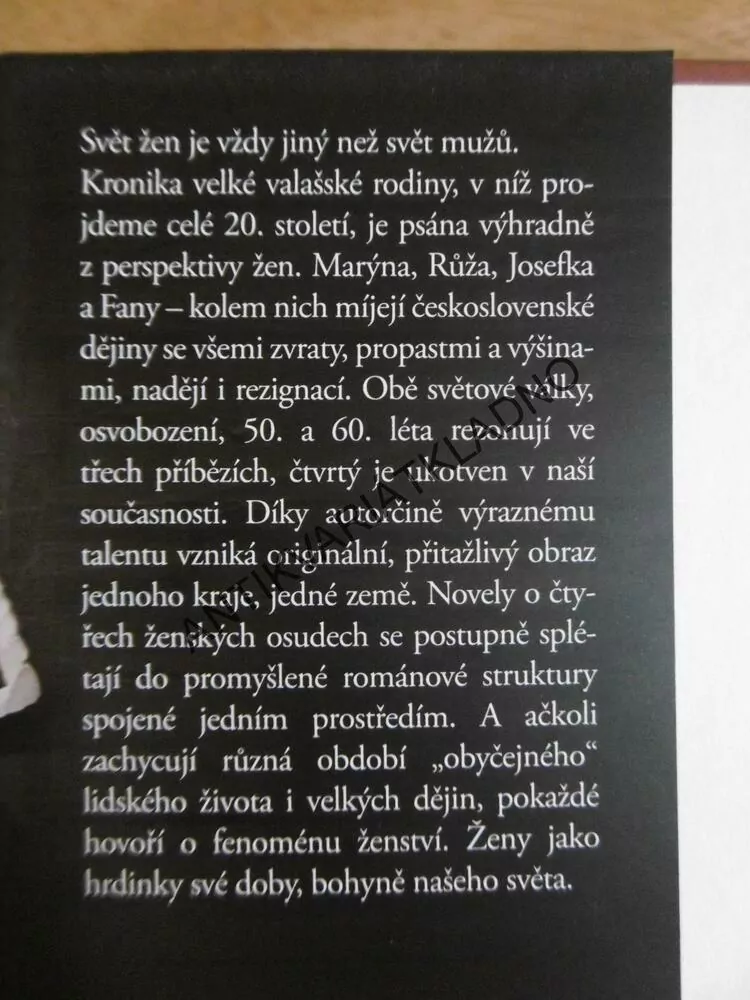 DRUHÝ ŽIVOT MARÝNY G., VLADIMÍRA KLIMECKÁ, **an