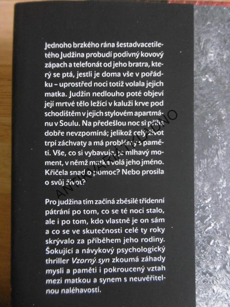 VZORNÝ SYN, ČONG JUDŽONG, **an