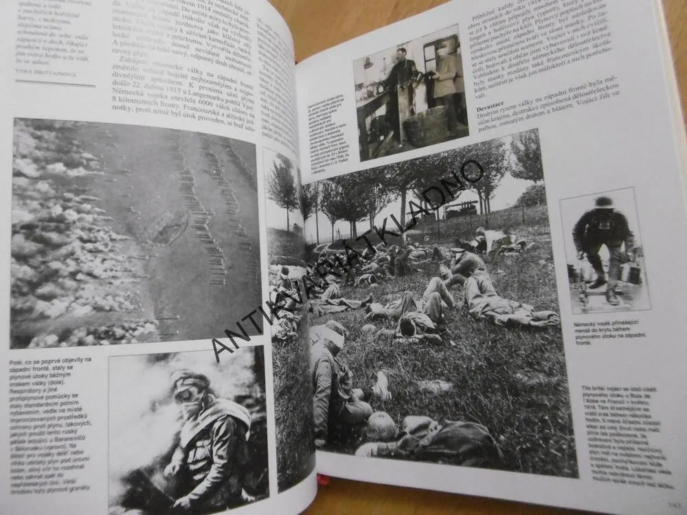 PRVNÍ SVĚTOVÁ VÁLKA, J.M. WINTER, **an