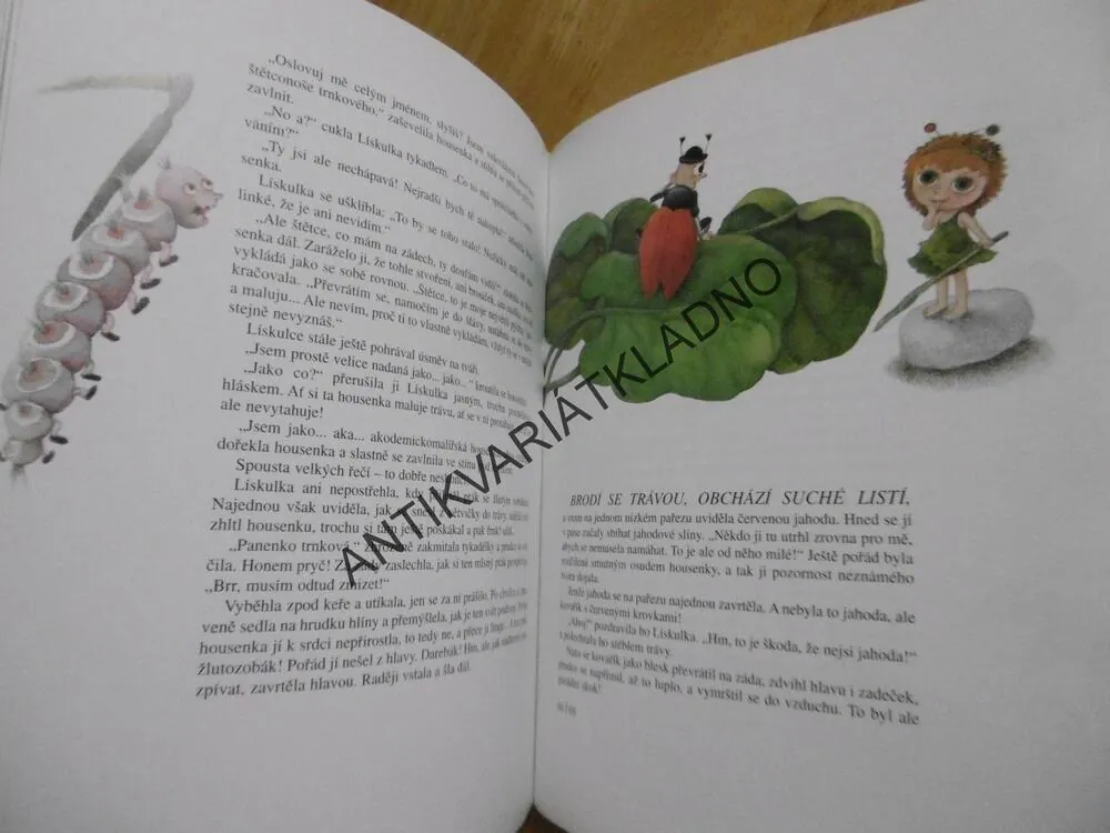 LÍSKULKA, IRENA GÁLOVÁ, VLASTA BARÁNKOVÁ, **an