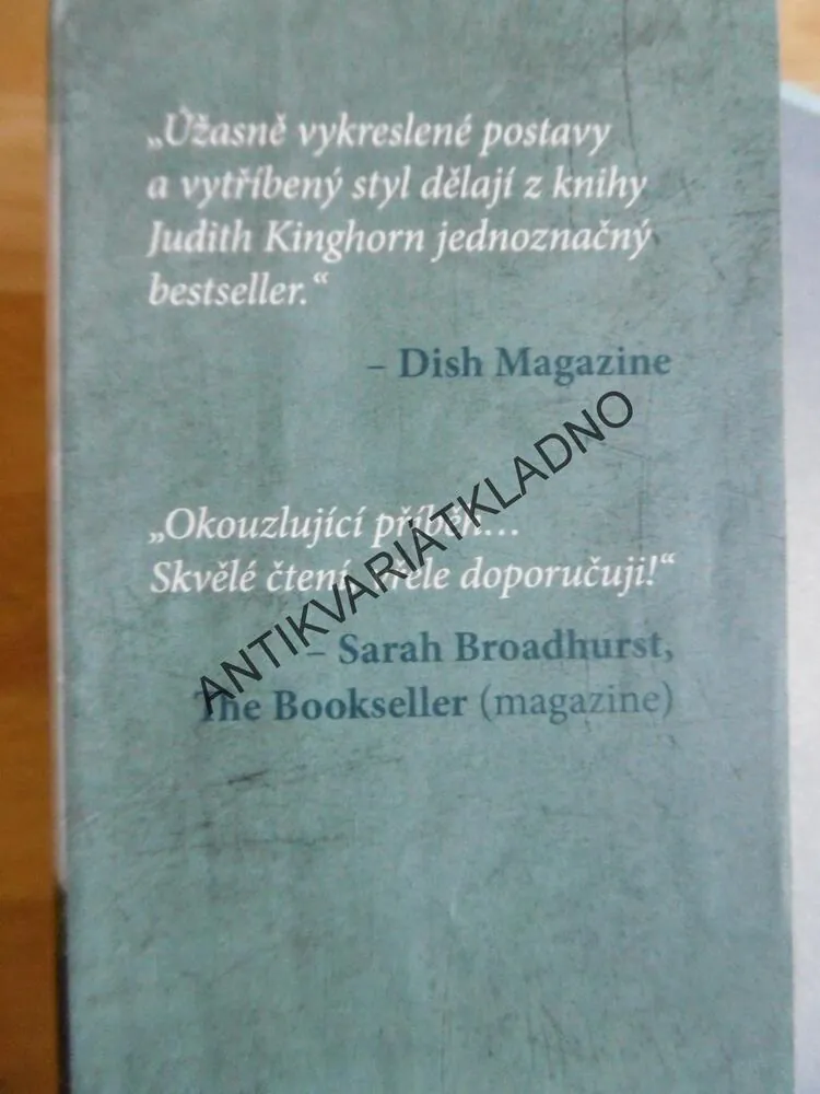 POSLEDNÍ LÉTO, JUDITH KINGHORN, **an