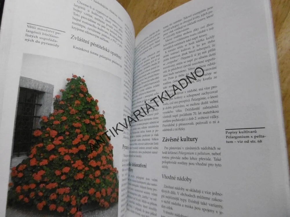 MUŠKÁTY, CHRISTA HOFMANN, 