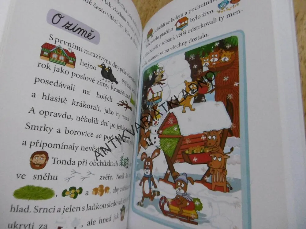 OBRÁZKOVÉ ČTENÍ, V LESE I NA LOUCE OD JARA DO ZIMY, ALENA SCHEJBALOVÁ, VENDULA HEGEROVÁ, **an