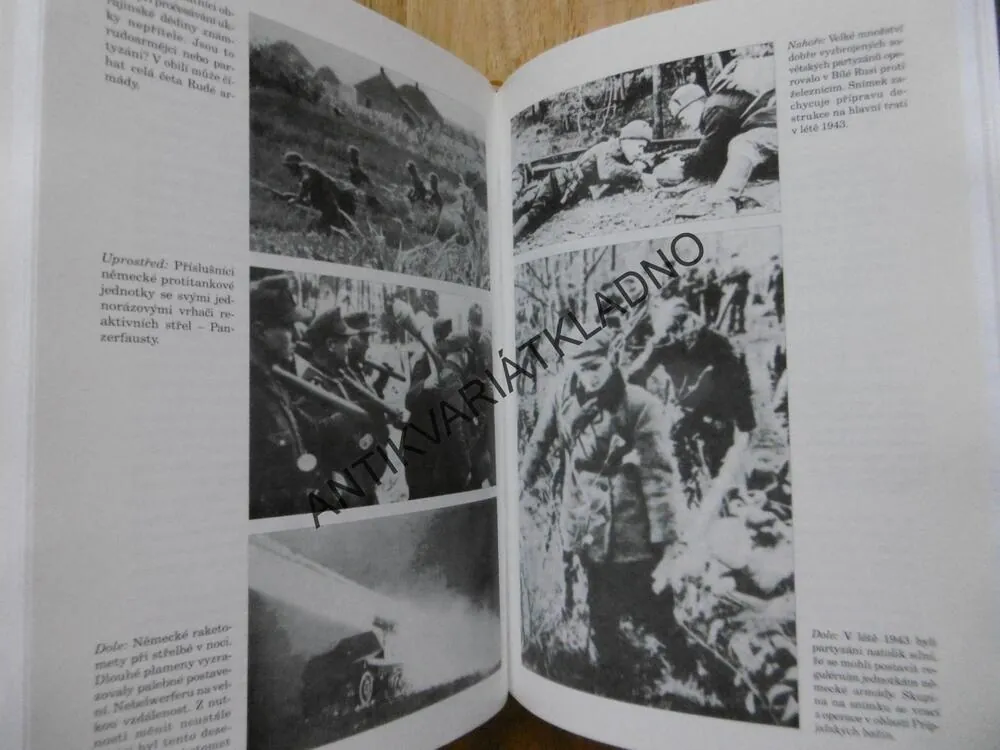 VÁLKA NA VÝCHODNÍ FRONTĚ 1941-45, JAMES LUCAS, **an