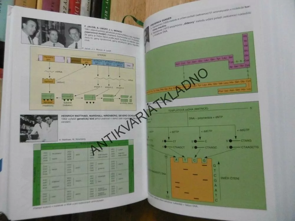 BIOLOGIE PRO GYMNÁZIA, JELÍNEK, ZICHÁČEK, NOVÉ VYDÁNÍ 2013