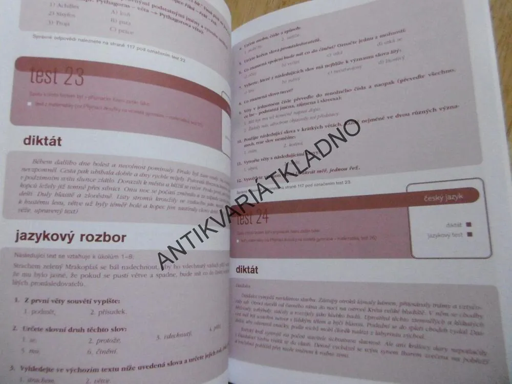 PŘIJÍMACÍ ZKOUŠKY NA VÍCELETÁ GYMNÁZIA ČESKÝ JAZYK, 