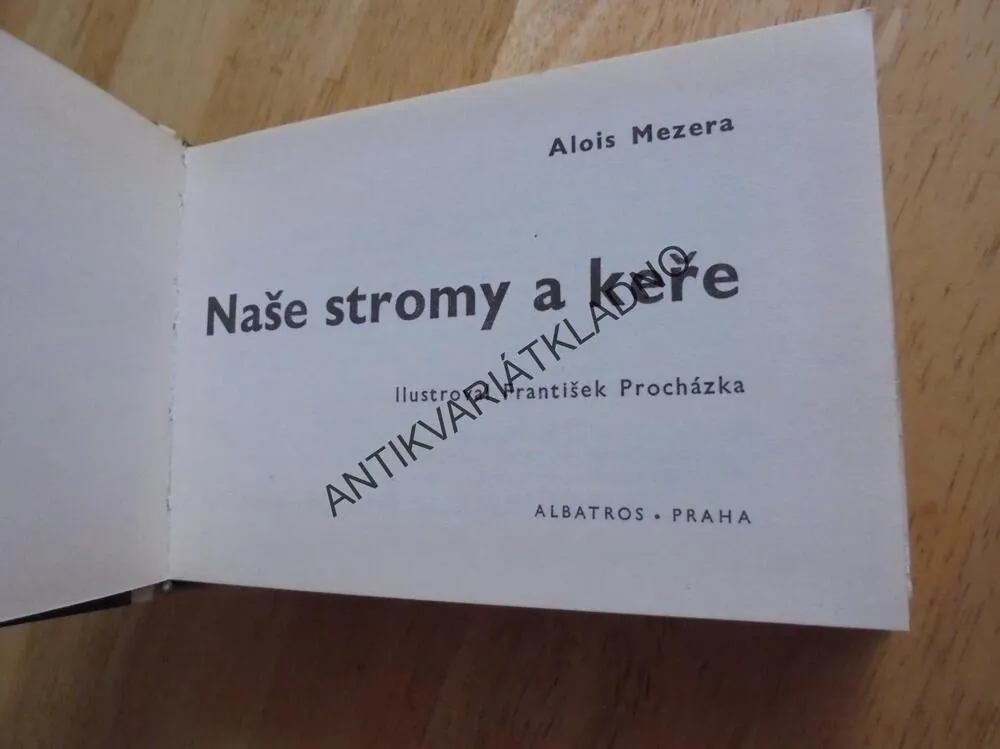 OKO 25- NAŠE STROMY A KEŘE, MEZERA