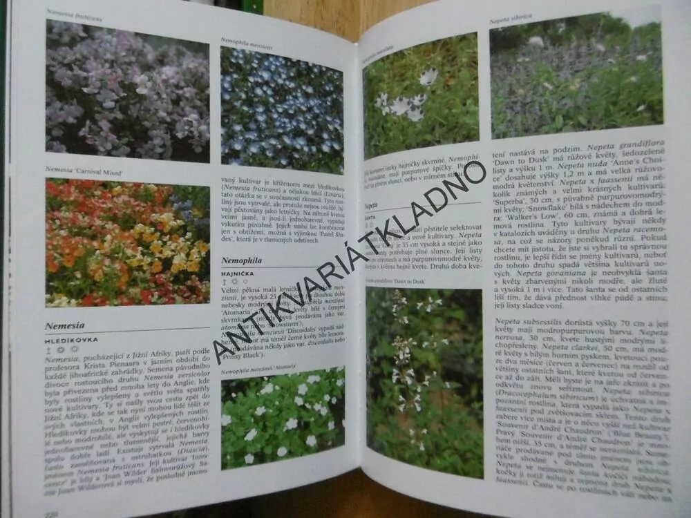ENCYKLOPEDIE ZÁHONOVÝCH ROSTLIN, HANNEKE VAN DIJKOVÁ, **an