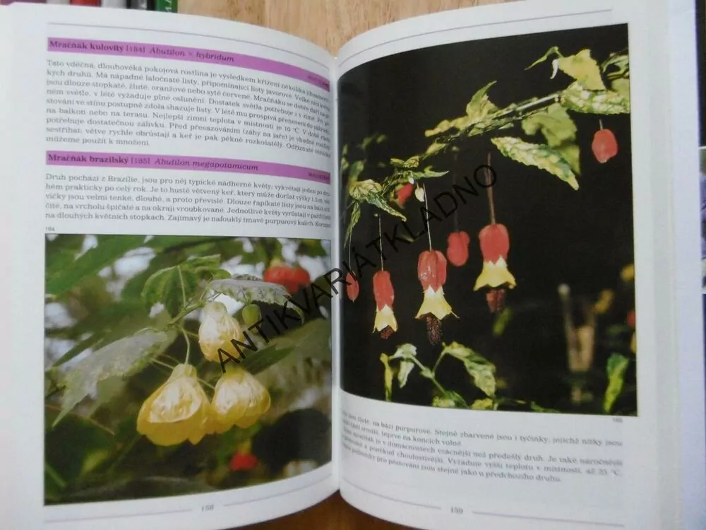 FOTOGRAFICKÝ ATLAS POKOJOVÉ ROSTLINY, ANNA SKALICKÁ, **an