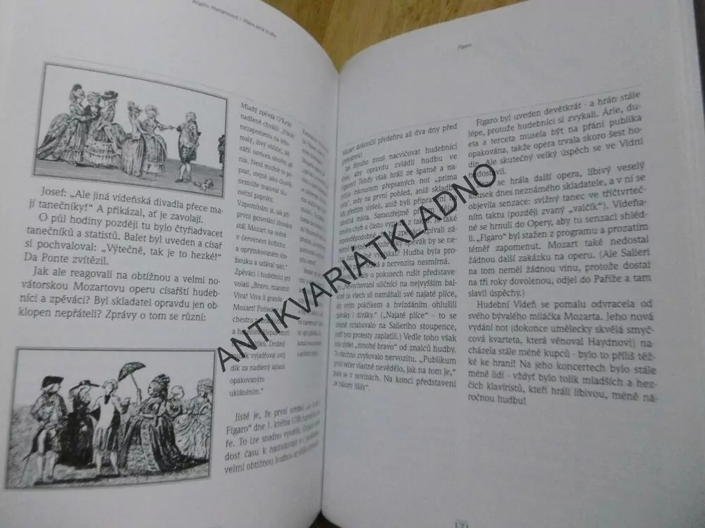 HLAVA PLNÁ HUDBY, ŽIVOT WOLFGANGA AMADEA MOZARTA, BRIGITTE HAMANNOVÁ, **an