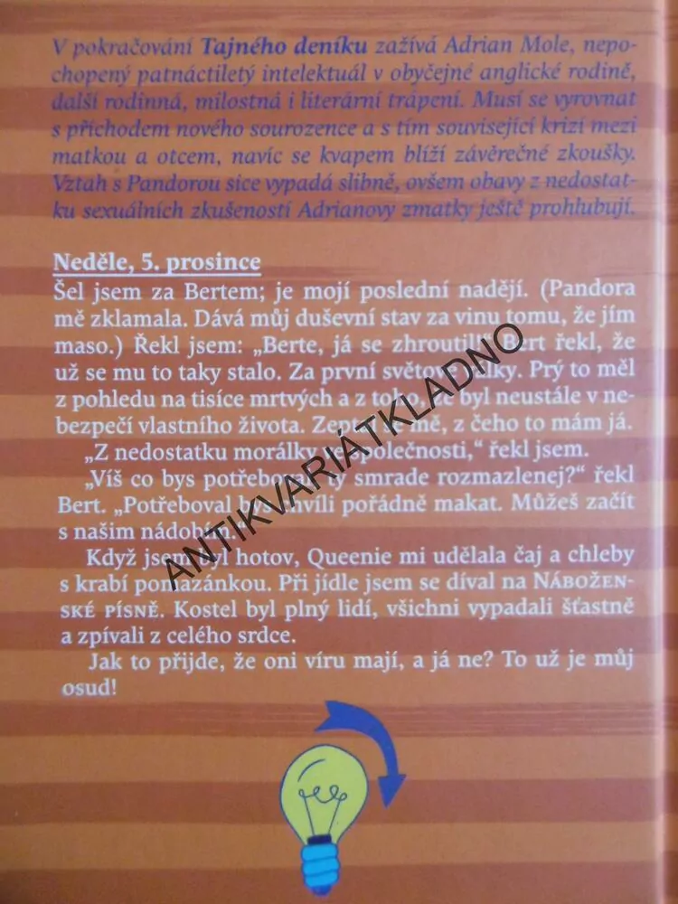 HOŘKÉ ZRÁNÍ ADRIANA MOLEA, SUE TOWNSENDOVÁ, **an
