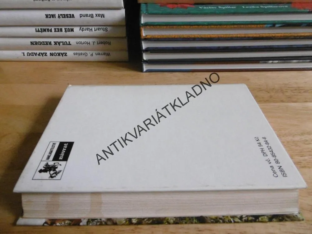 TAJEMSTVÍ ZÁPADNÍHO PRŮMYSLU, ZANE GREY, **an