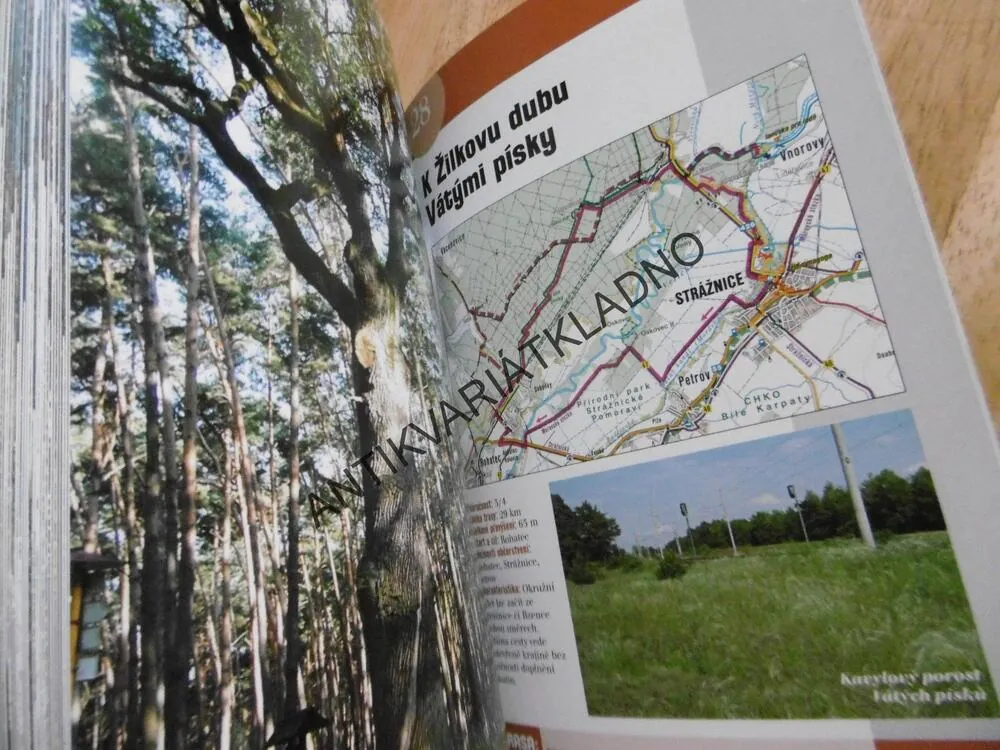 PÁLAVSKO A PODYJÍ, MIKULOV, ZNOJMO, VALTICE AJ.,**an