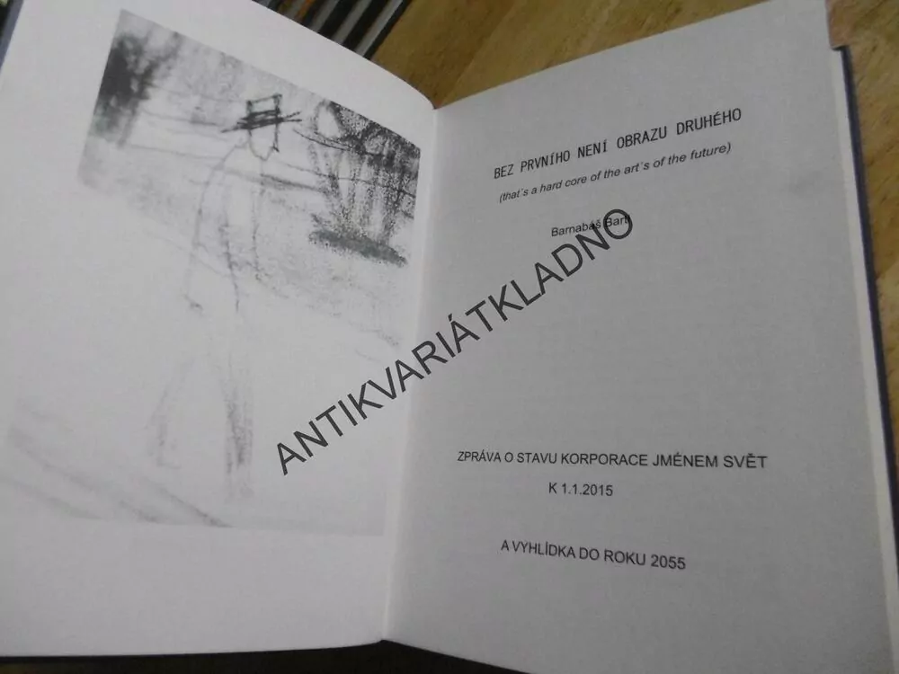 BEZ PRVNÍHO NENÍ OBRAZU DRUHÉHO, BANABÁŠ BARTL, 2015, **an