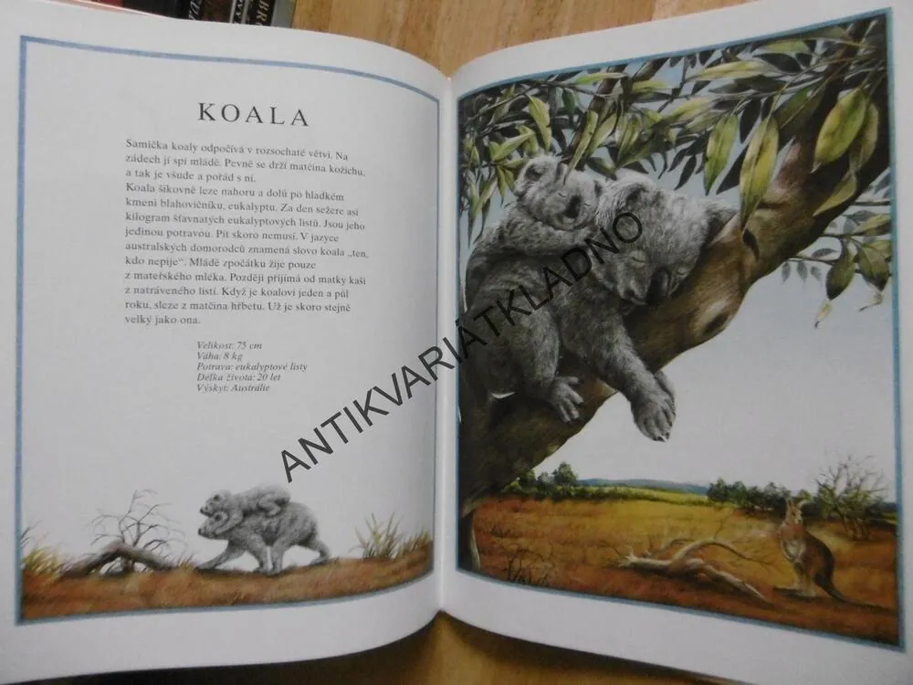 ROK SE ZVÍŘÁTKY, SUSANNE RIHA, **an