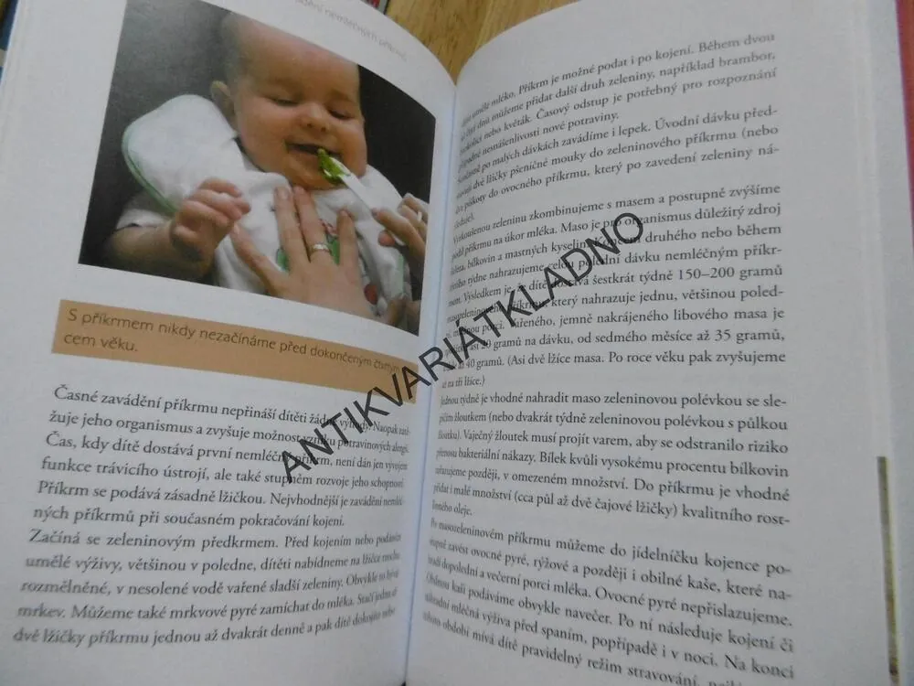 PÉČE O NOVOROZENCE A KOJENCE, MAMINČIN DOMÁCÍ LÉKAŘ, GREGORA, DOKOUPILOVÁ, **an