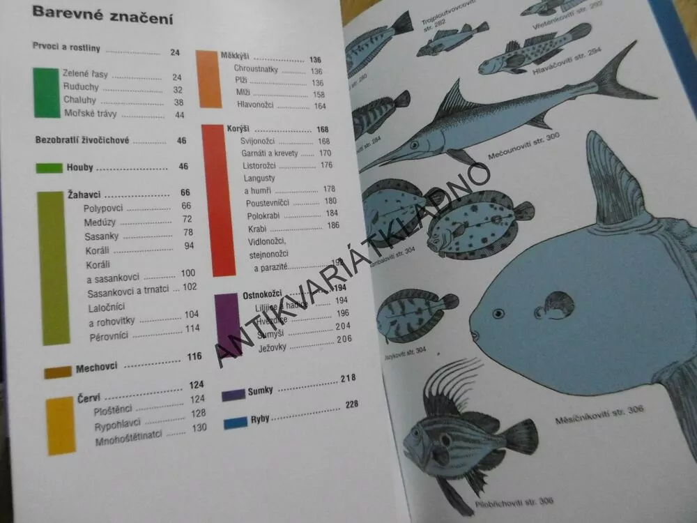 CO ŽIJE VE STŘEDOZEMNÍM MOŘI? BERGBAUER, HUMBERG, **an