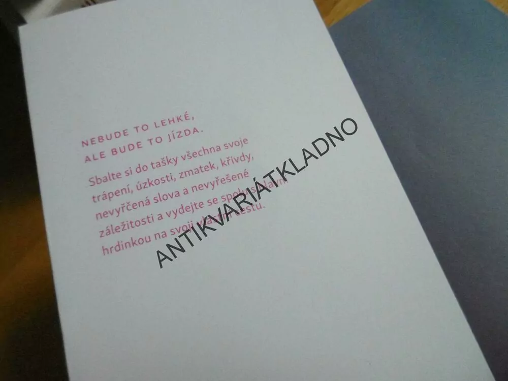 FOUKNEŠ DO PĚNY, RADKA TŘEŠTÍKOVÁ, **an
