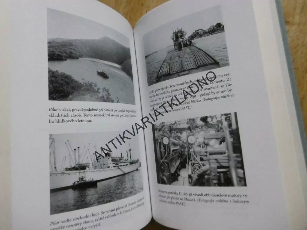 HEMINGWAYOVY HLÍDKY, ERNEST HEMINGWAY  A JEHO HON NA PONORKY, TERRY MORT, **an