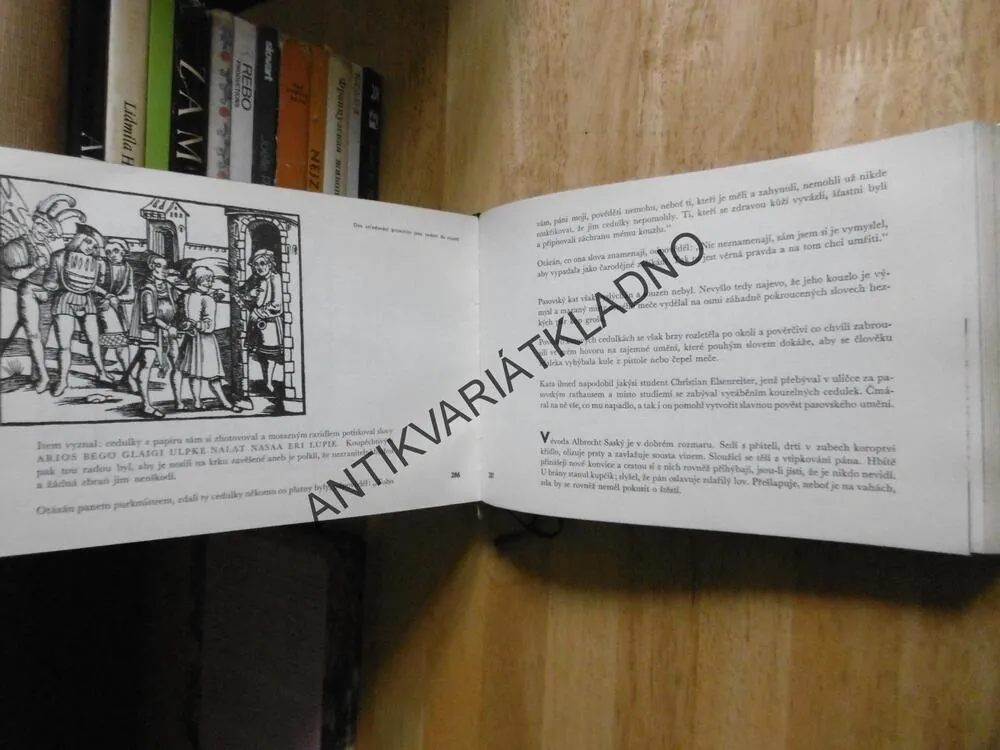 TAJUPLNOSTI, MÁMIDLA A KEJKLE, RADOVAN KRÁTKÝ, **an
