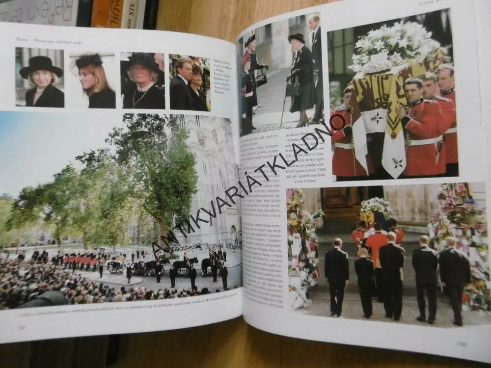 DIANA, PRINCEZNA LIDSKÝCH SRDCÍ, PETR DONELLY, **an