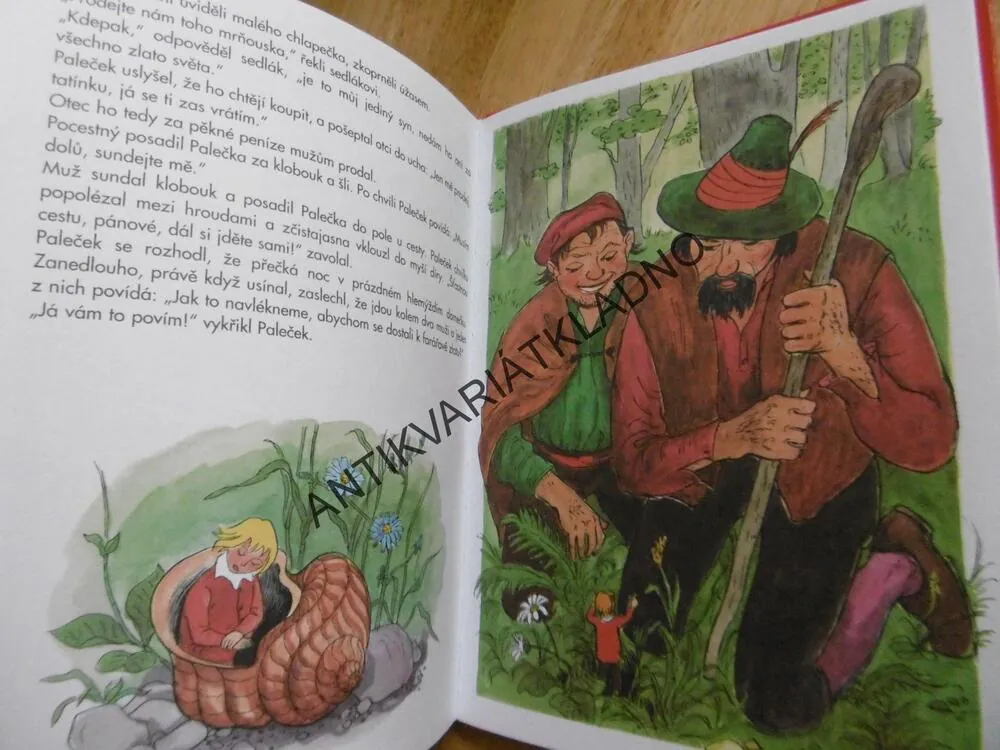 ZAKLETÝ BRATŘÍČEK, BRATŘI GRIMMOVÉ, H.CH. ANDERSEN, **an