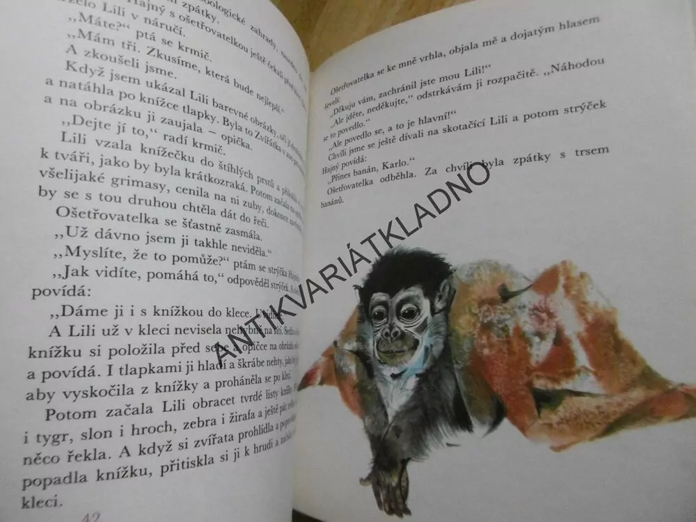 JAK JSEM KŘTIL MEDVĚDA, RUDO MORIC, **an