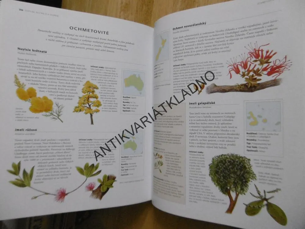 KVĚTINY A ROSTLINY V PŘÍRODĚ, SVĚTOVÁ ENCYKLOPEDIE, MICK LAVELLE, **an