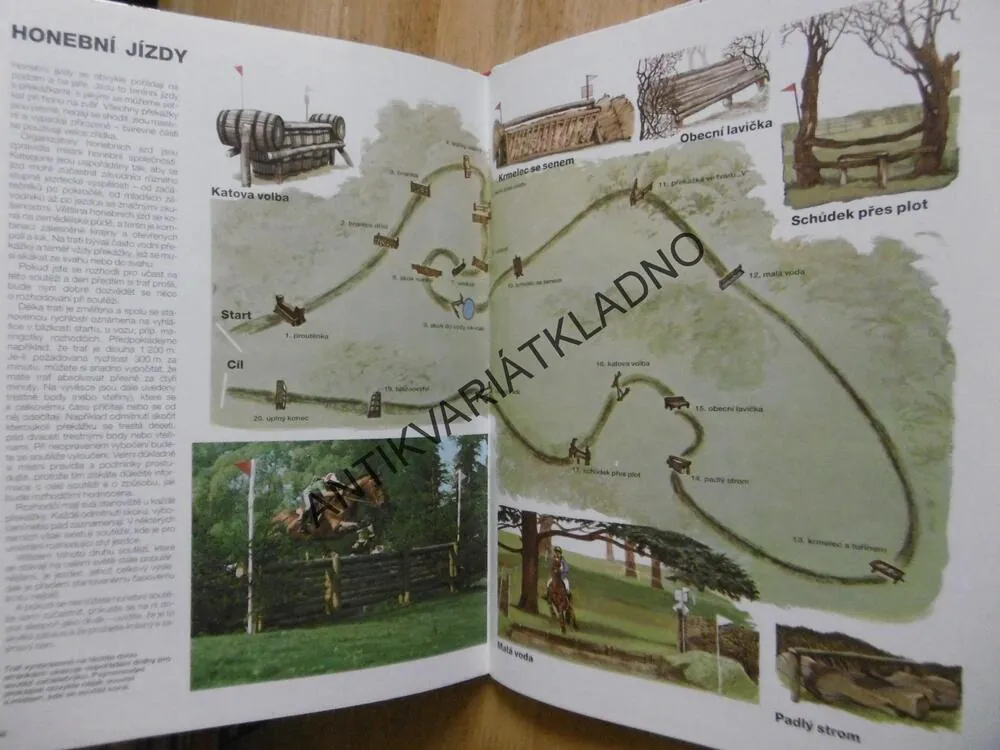 MLADÝ ŽOKEJ,  ROBERT OWEN, JEZDECTVÍ, PRŮVODCE PRO MILOVNÍKY KONÍ,KŮŇ, **an