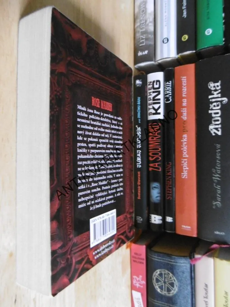 ROSE MADDER, STEPHEN KING, **an