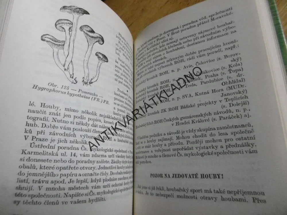 SBÍRÁME LESNÍ PLODY A HOUBY , SMOTLACHA, HRDLIČKA, MYKOLOGIE, **an