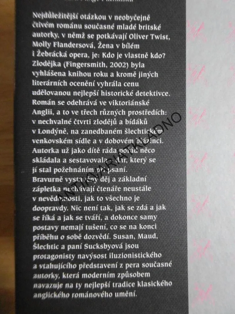ZLODĚJKA, SARAH WATERSOVÁ, **an