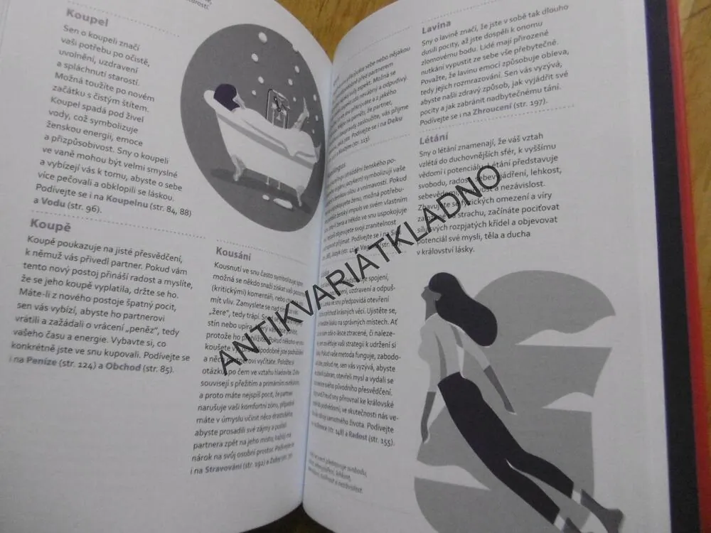 SNÁŘ, LÁSKA, SEX A VZTAHY, KELLY SULLIVAN WALDEN, 1000 SYMBOLŮ, **an