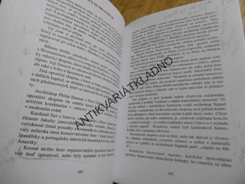 RÝN SE VLÉVÁ DO TIBERY, KRONIKAII. VATIKÁNSKÉHO KONCILU, RALPH M.WILTGEN, **an
