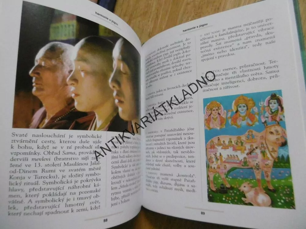 HARMONIE S JÓGOU, VANESSA BINI, JÓGA, **an