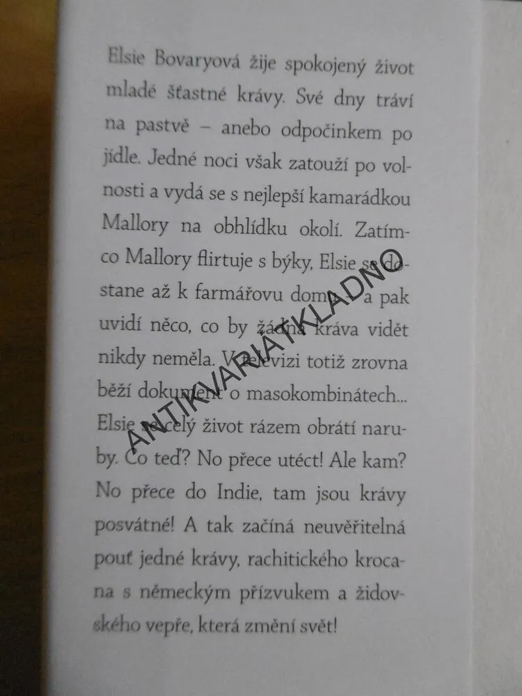 KRÁVA NEBESKÁ, DAVID DUCHOVNY, POHÁDKA PRO DOSPĚLÉ, **an