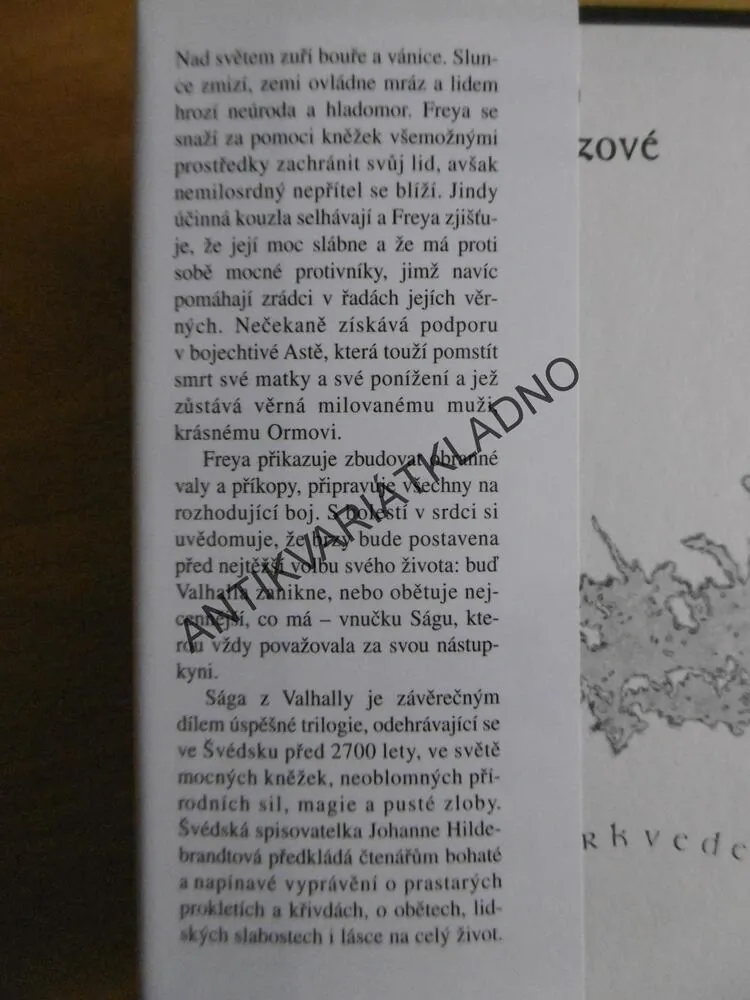 SÁGA Z VALHALLY, JOHANNE HILDEBRANDTOVÁ, **an