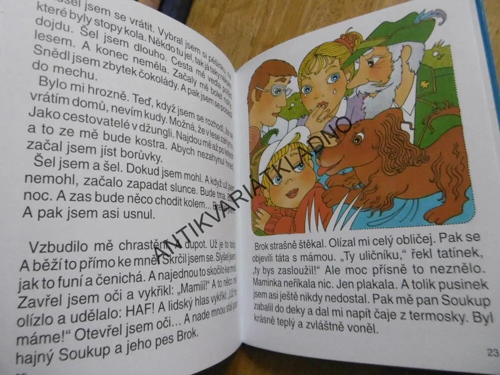 POVEDENÉ PRÁZDNINY, DRIJVEROVÁ, VLASTA ŠVEJDOVÁ, **an